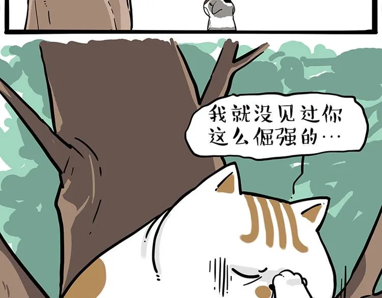 第271话 进击的流浪猫！ 第5页