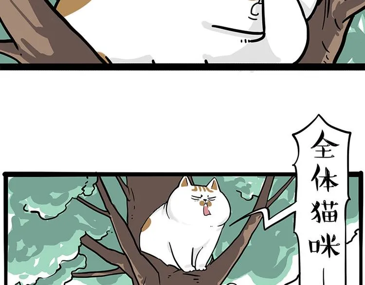 第271话 进击的流浪猫！ 第6页
