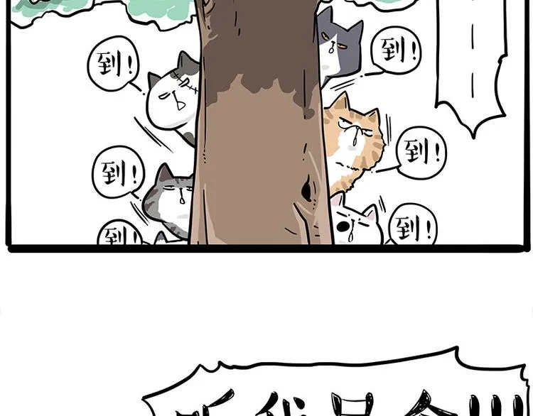 第271话 进击的流浪猫！ 第7页