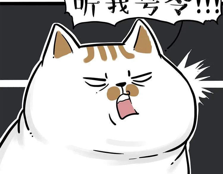 第271话 进击的流浪猫！ 第8页
