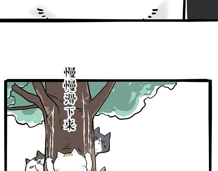 第271话 进击的流浪猫！ 第9页