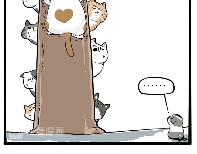 第271话 进击的流浪猫！ 第10页