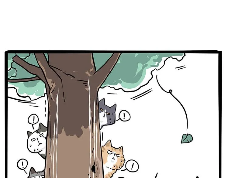 第271话 进击的流浪猫！ 第11页