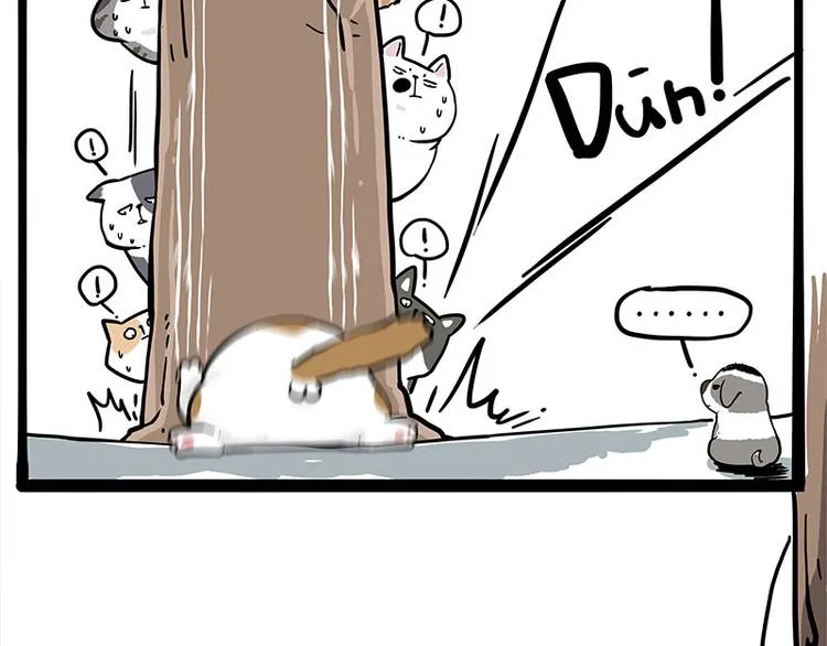 第271话 进击的流浪猫！ 第12页