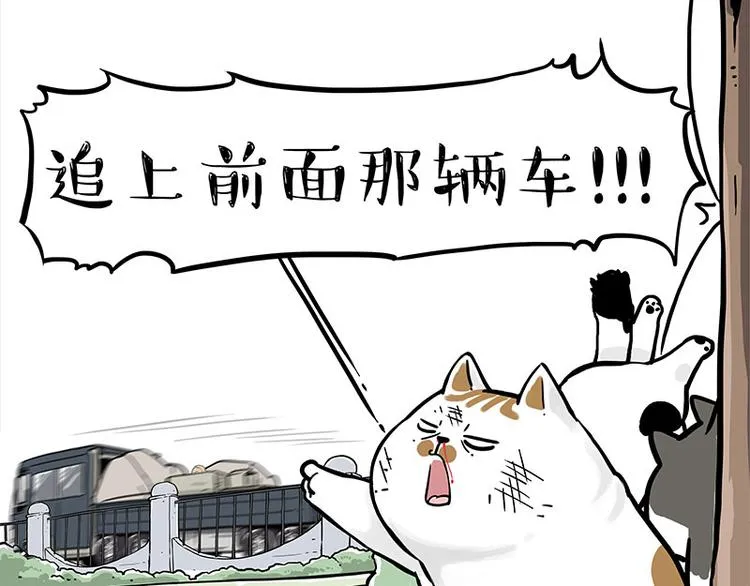 第271话 进击的流浪猫！ 第13页