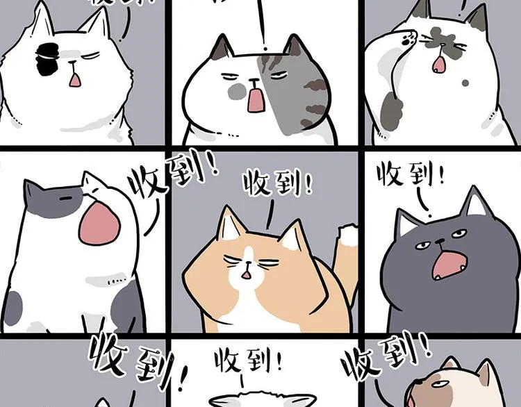 第271话 进击的流浪猫！ 第15页