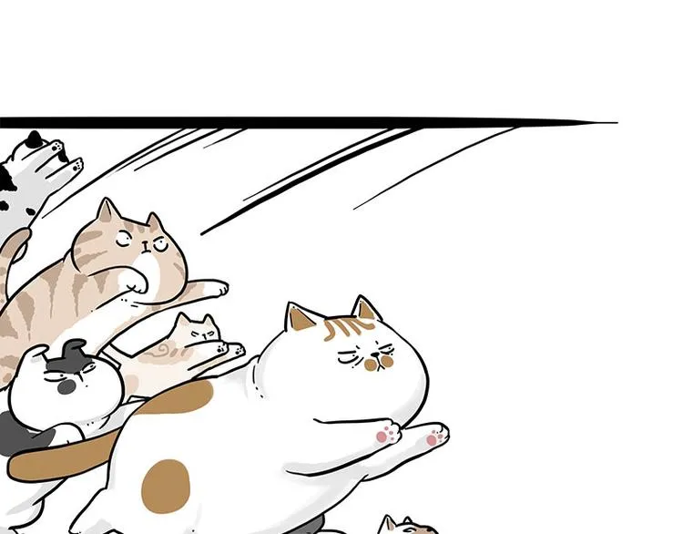 第271话 进击的流浪猫！ 第17页