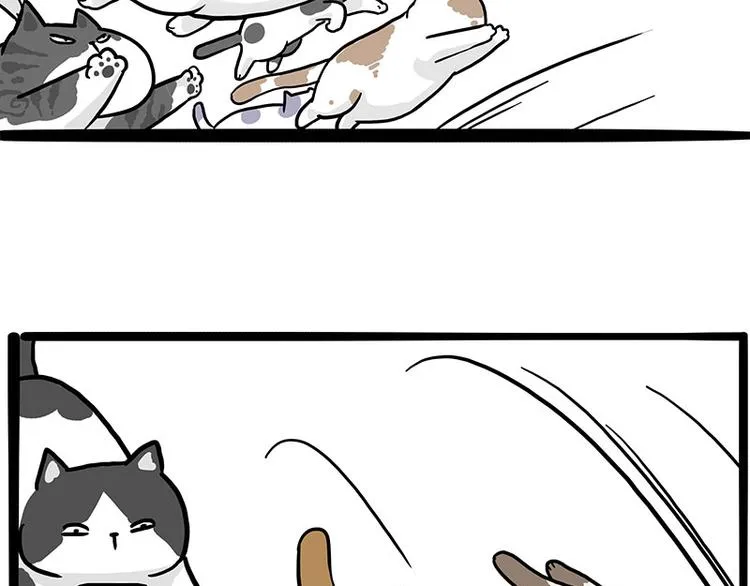 第271话 进击的流浪猫！ 第18页