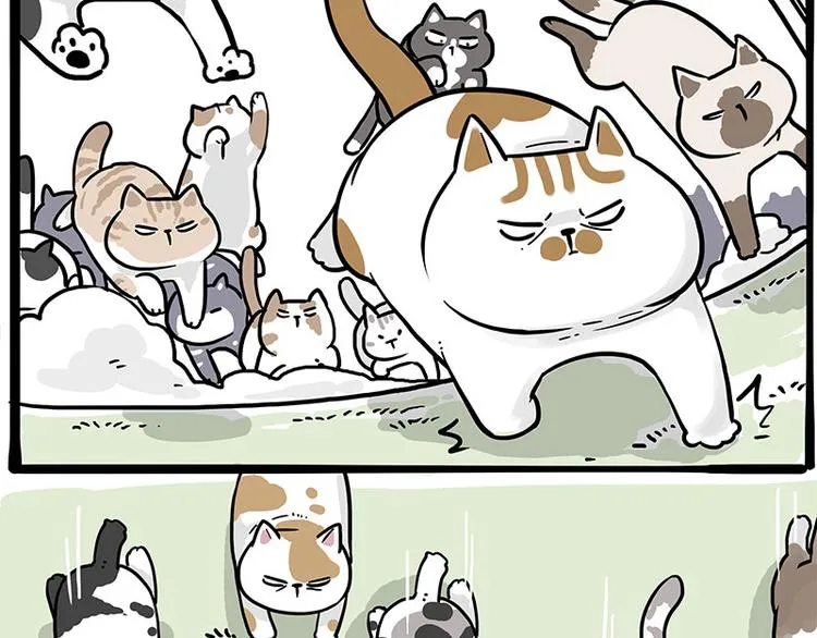 第271话 进击的流浪猫！ 第19页