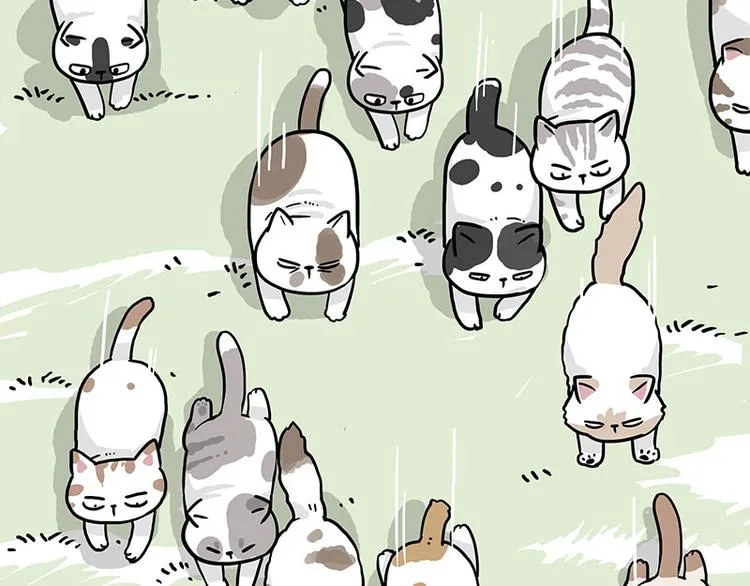 第271话 进击的流浪猫！ 第20页