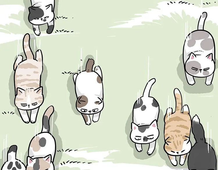 第271话 进击的流浪猫！ 第22页