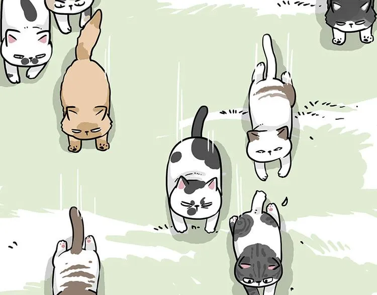 第271话 进击的流浪猫！ 第23页