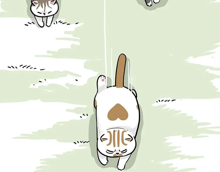 第271话 进击的流浪猫！ 第24页