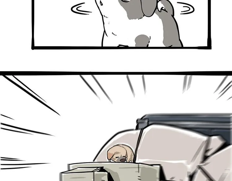 第271话 进击的流浪猫！ 第26页