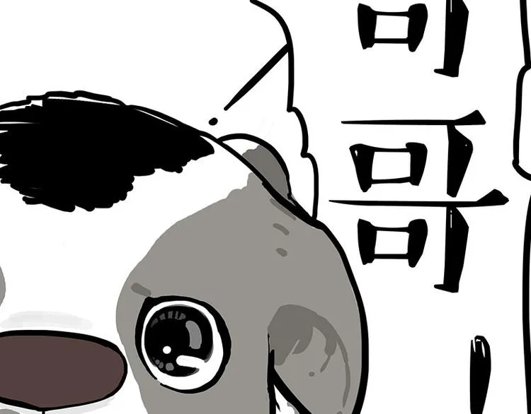 第271话 进击的流浪猫！ 第28页