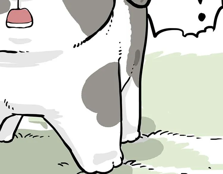 第271话 进击的流浪猫！ 第29页