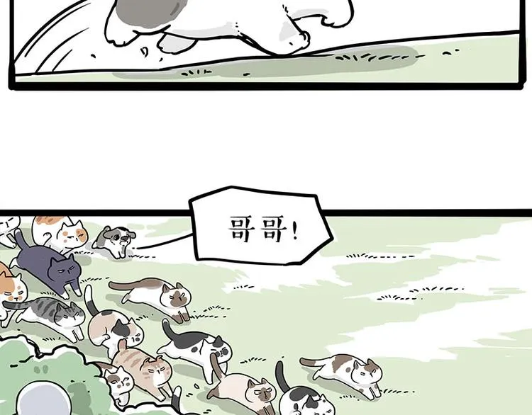 第271话 进击的流浪猫！ 第31页