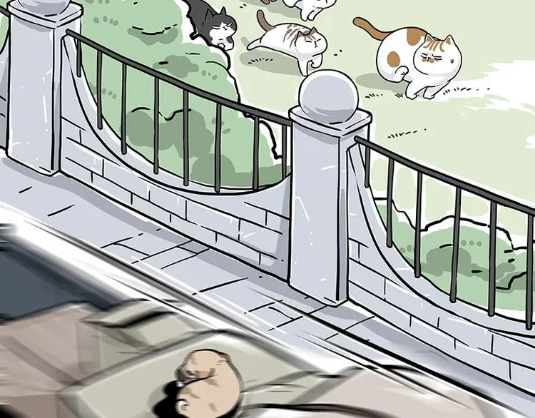 第271话 进击的流浪猫！ 第32页