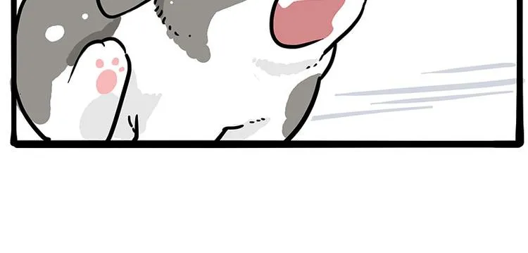 第271话 进击的流浪猫！ 第34页