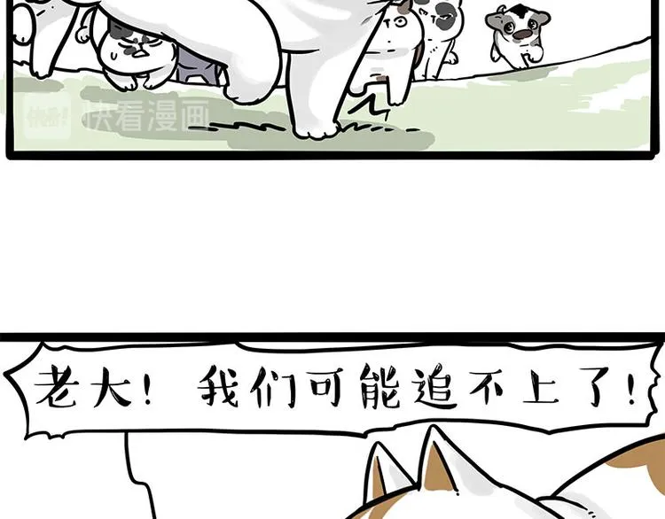 第271话 进击的流浪猫！ 第36页