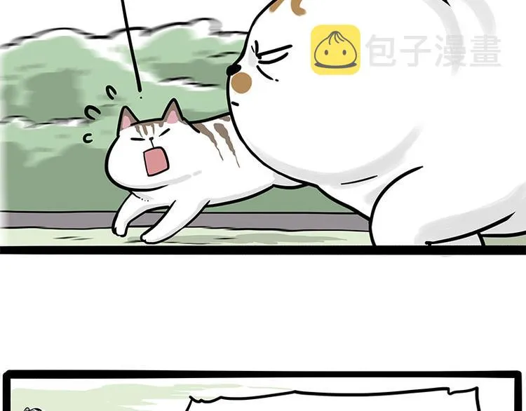第271话 进击的流浪猫！ 第37页