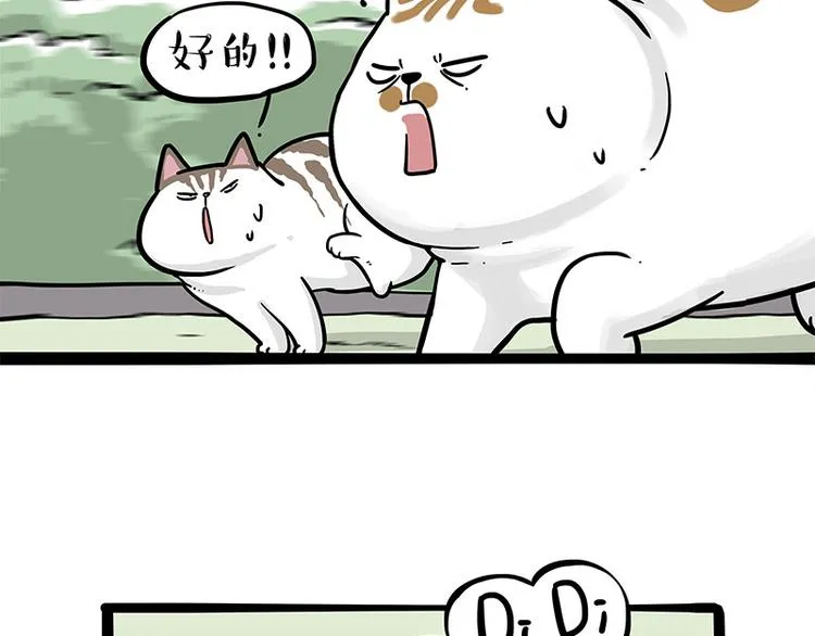第271话 进击的流浪猫！ 第40页