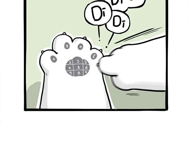 第271话 进击的流浪猫！ 第41页