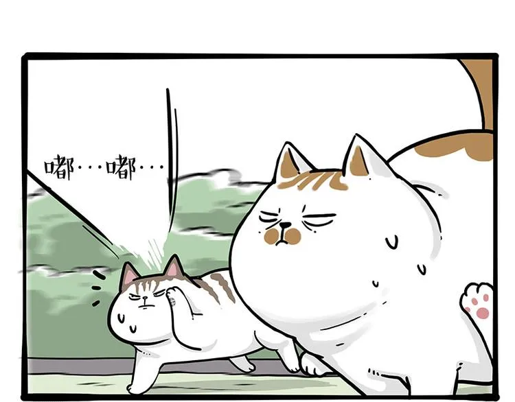 第271话 进击的流浪猫！ 第42页