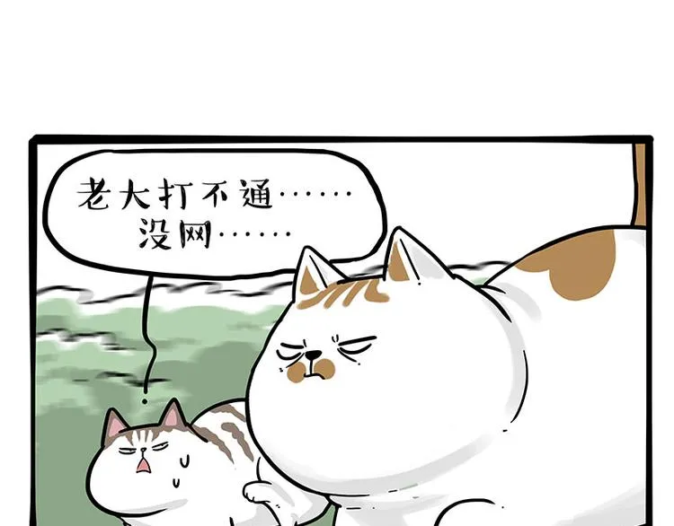 第271话 进击的流浪猫！ 第43页