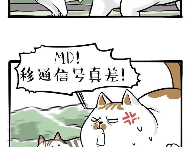 第271话 进击的流浪猫！ 第44页