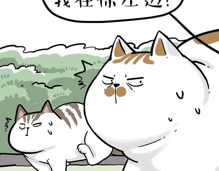 第271话 进击的流浪猫！ 第46页