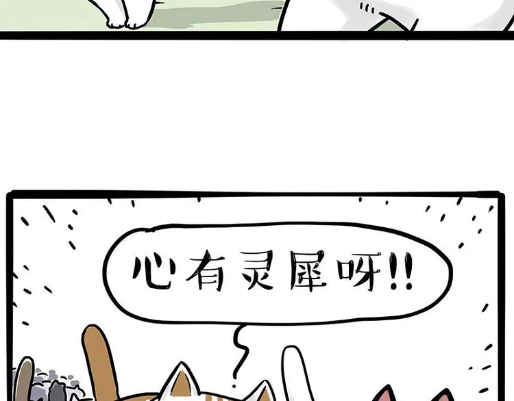 第271话 进击的流浪猫！ 第47页