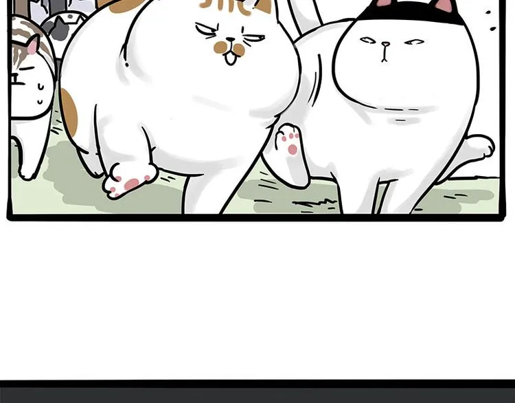 第271话 进击的流浪猫！ 第48页