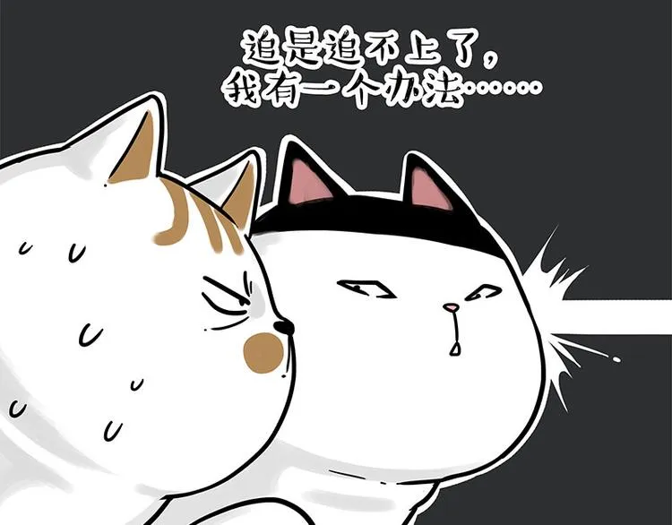 第271话 进击的流浪猫！ 第49页