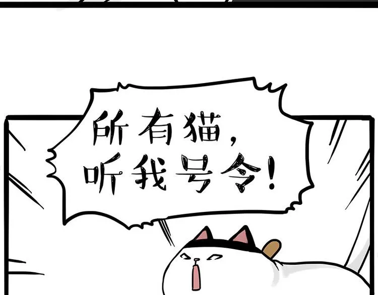 第271话 进击的流浪猫！ 第50页