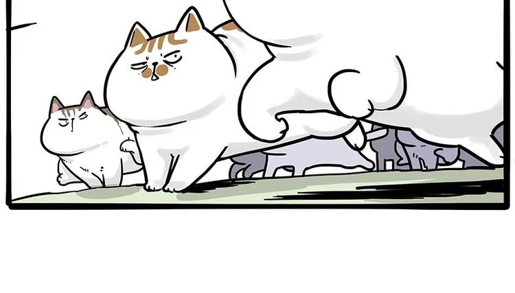 第271话 进击的流浪猫！ 第51页
