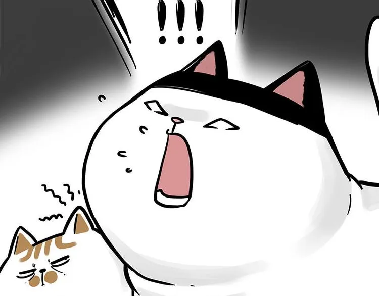 第271话 进击的流浪猫！ 第53页