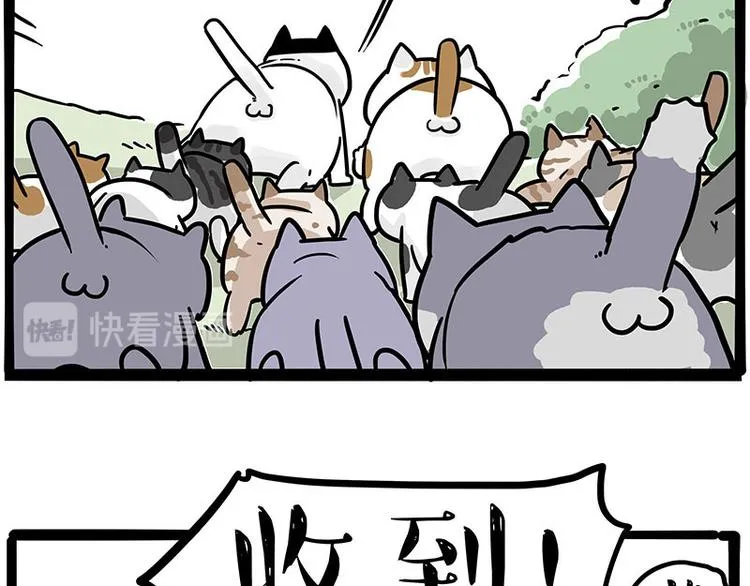 第271话 进击的流浪猫！ 第55页