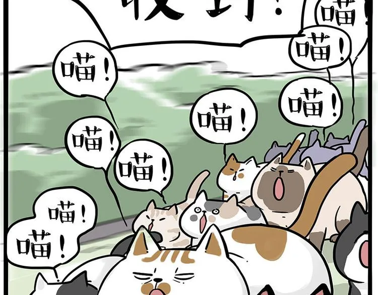 第271话 进击的流浪猫！ 第56页