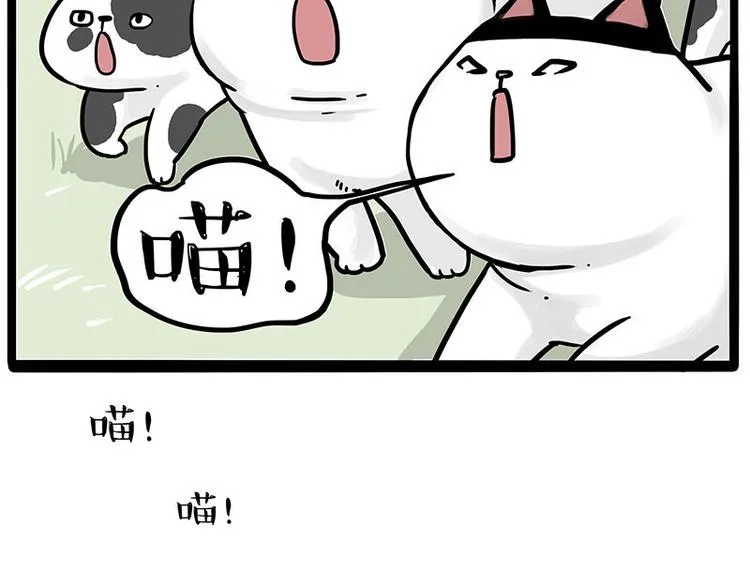第271话 进击的流浪猫！ 第57页