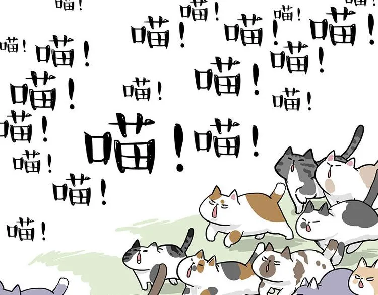 第271话 进击的流浪猫！ 第60页
