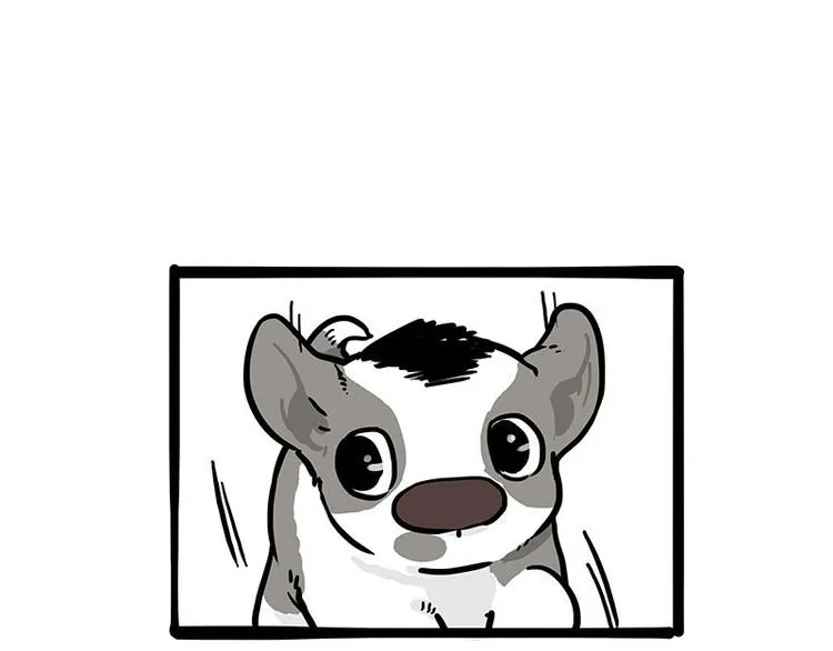 第271话 进击的流浪猫！ 第62页