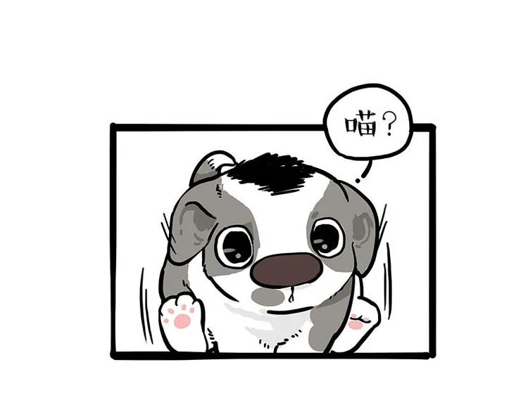 第271话 进击的流浪猫！ 第63页