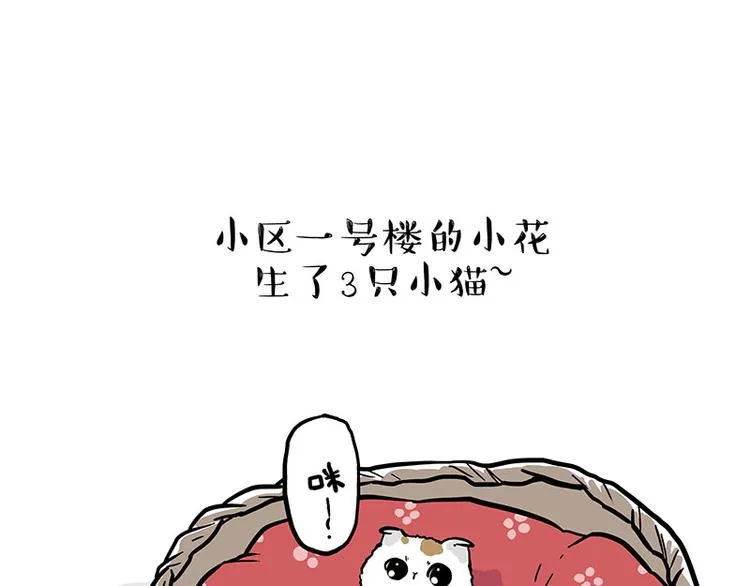 第275话 吾皇过生日了 第1页