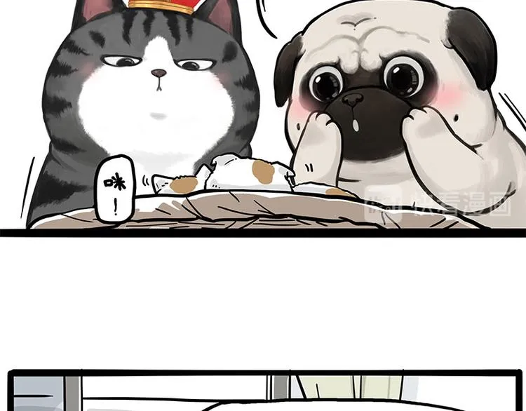 第275话 吾皇过生日了 第3页
