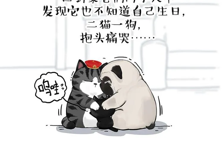 第275话 吾皇过生日了 第17页