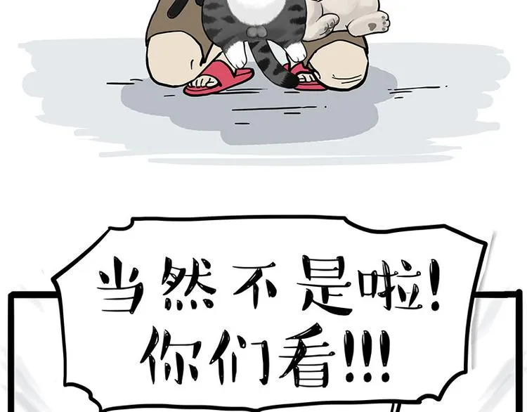 第275话 吾皇过生日了 第27页