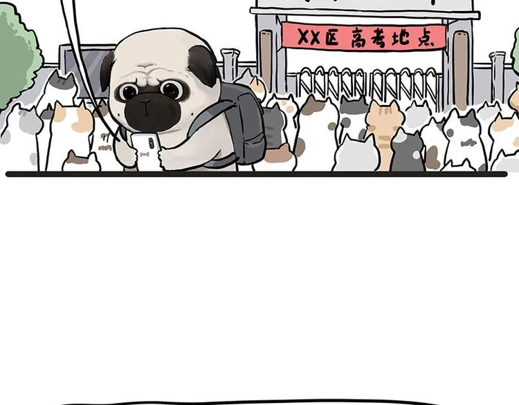 第276话 高考逆袭 第11页