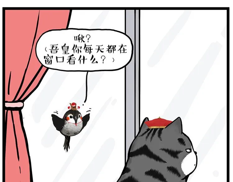 第277话 猫斗猫 第1页