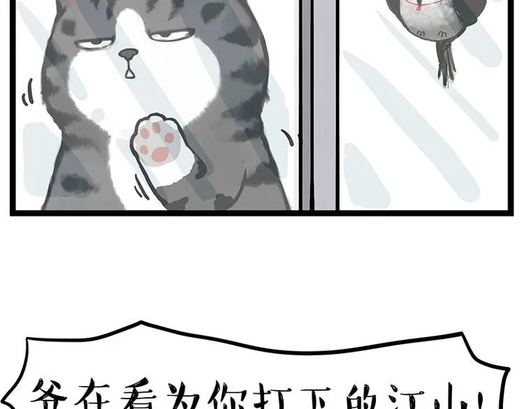 第277话 猫斗猫 第3页